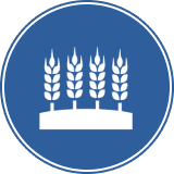 Logo Agroalimentaire Blue partners Finance